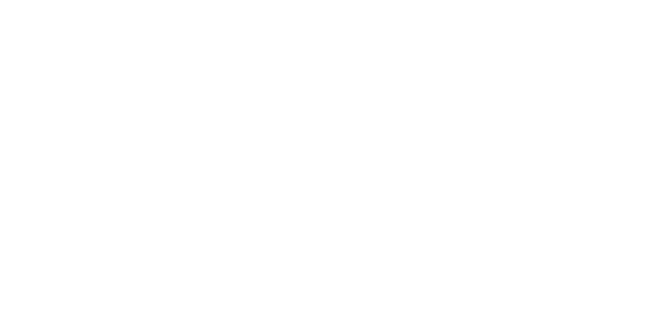 World Connection